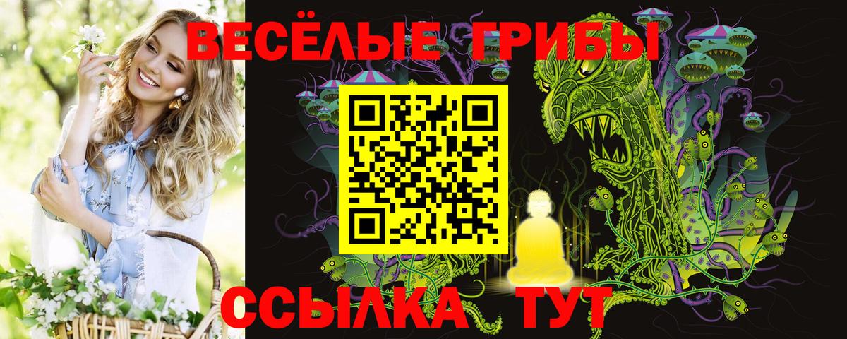 Галлюциногенные грибы ЛСД  Вход с VPN  Норильск 